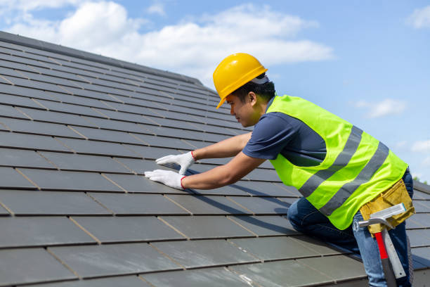 Best Roof Repair Services  in Clio, MI