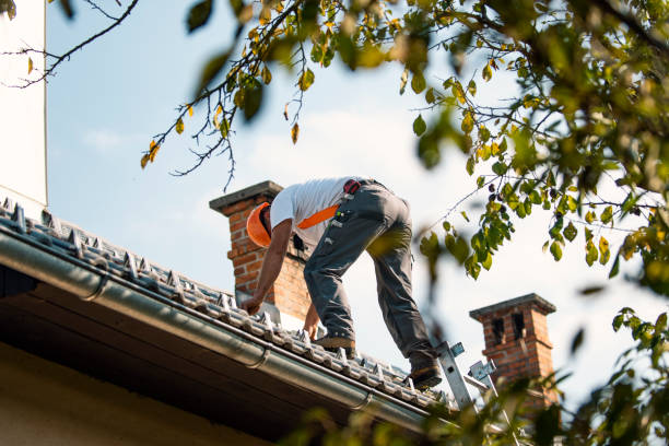 Best Residential Roofing Contractor  in Clio, MI
