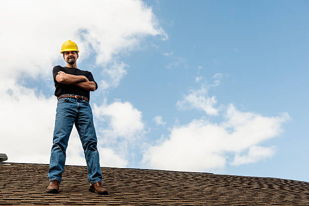 Best Roof Gutter Cleaning  in Clio, MI